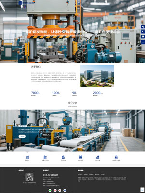 某某科技公司 0455